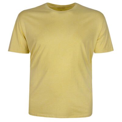 GAZMAN BASIC PLAIN 22001 T-SHIRT -tshirts & tank tops-KINGSIZE BIG & TALL