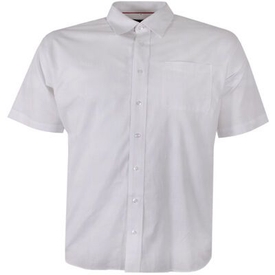 PERRONE LINEN BLEND S/S SHIRT-shirts casual & business-KINGSIZE BIG & TALL